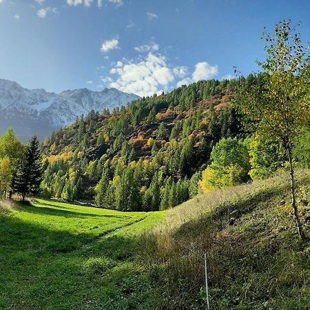 Hotel Chalet Du Bon Air Peisey-Nancroix Dış mekan fotoğraf